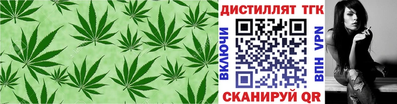 ТГК Wax  хочу   Шахунья 
