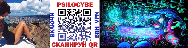omg рабочий сайт Шахунья Галлюциногенные грибы MAGIC MUSHROOMS что такое наркотик