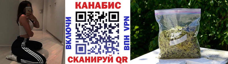 Каннабис планчик  Шахунья 